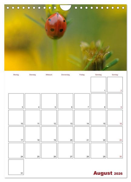 Produktbild: Marienk&auml;fergl&uuml;ck (Wandkalender 2026 DIN A4 hoch), CALVENDO Monatskalender