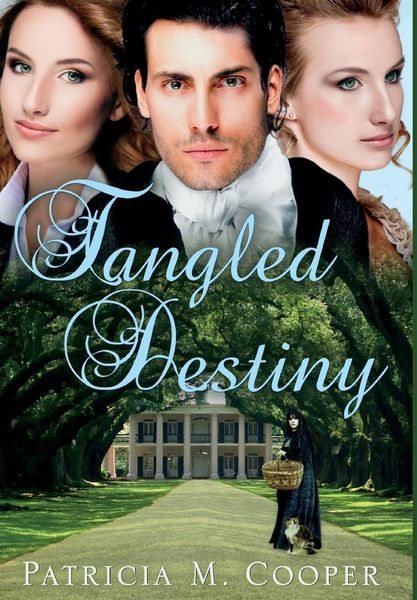 Produktbild: Tangled Destiny