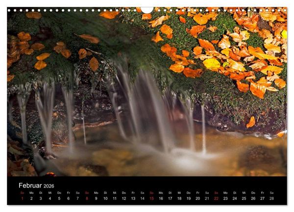 Produktbild: Herbst im Nationalpark Bayerischer Wald (Wandkalender 2026 DIN A3 quer), CALVENDO Monatskalender