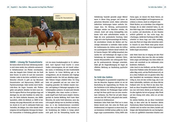 Produktbild: Dual-Aktivierung geritten