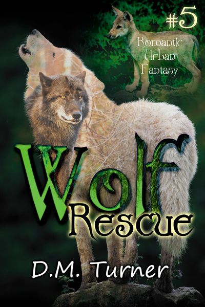 Produktbild: Rescue