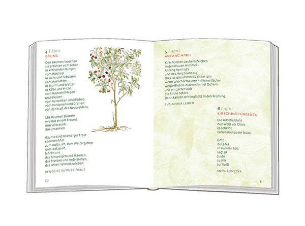 Produktbild: Mein Freund, der Baum