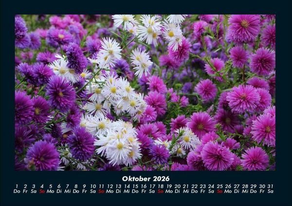 Produktbild: Blumenkalender 2026 Fotokalender DIN A4