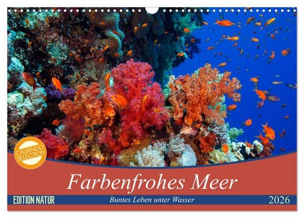 Produktbild: Farbenfrohes Meer (Wandkalender 2026 DIN A3 quer), CALVENDO Monatskalender