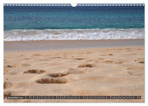 Produktbild: Ich will Meer ! (Wandkalender 2026 DIN A3 quer), CALVENDO Monatskalender
