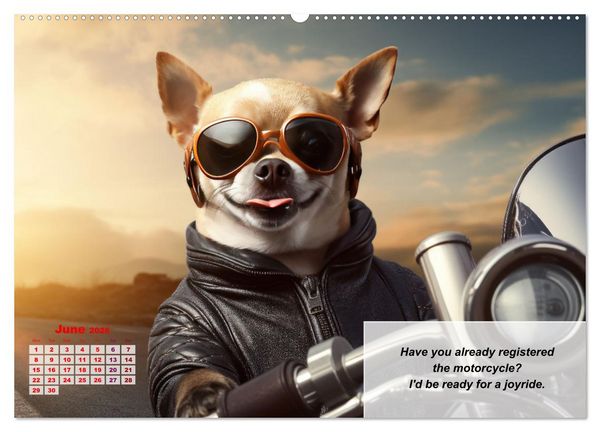 Produktbild: Great fun for Chihuahua lovers (Wall Calendar 2026 DIN A2 landscape), CALVENDO 12 Month Wall Calendar