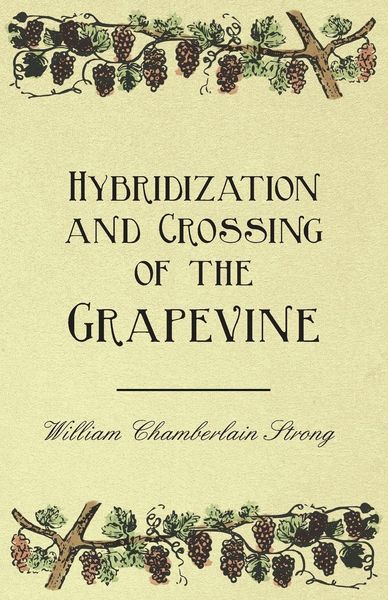 Produktbild: Hybridization and Crossing of the Grapevine