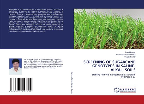 Produktbild: Screening Of Sugarcane Genotypes in Saline-Alkali Soils