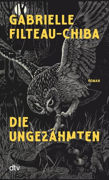 Produktbild: Die Ungez&auml;hmten
