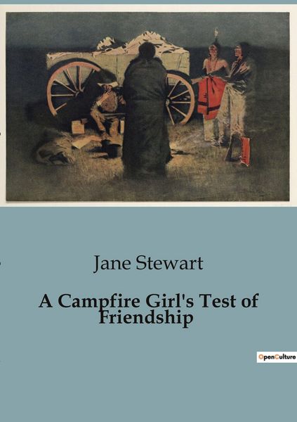 Produktbild: A Campfire Girl's Test of Friendship