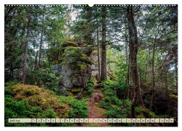 Produktbild: Deutschland - Nationalparks (hochwertiger Premium Wandkalender 2026 DIN A2 quer), Kunstdruck in Hochglanz