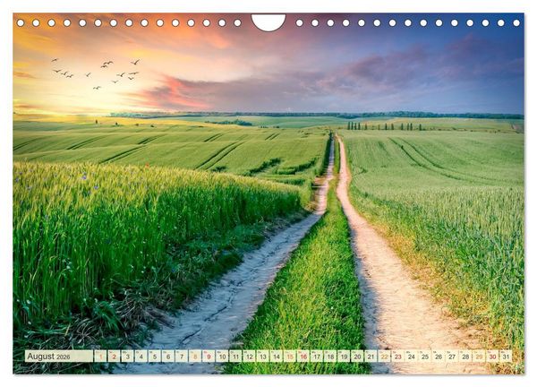 Produktbild: Traumwege entdecken (Wandkalender 2026 DIN A4 quer), CALVENDO Monatskalender