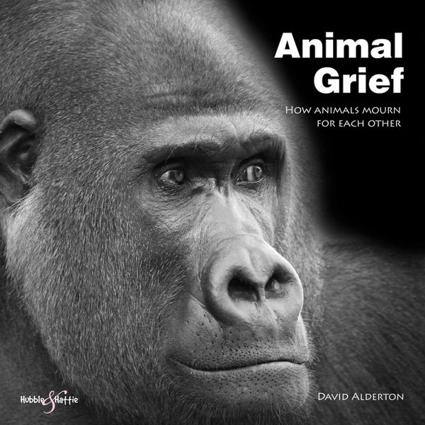 Produktbild: Alderton, D: Animal Grief