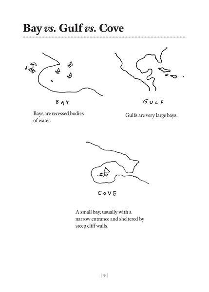 Produktbild: Dictionary of Fine Distinctions