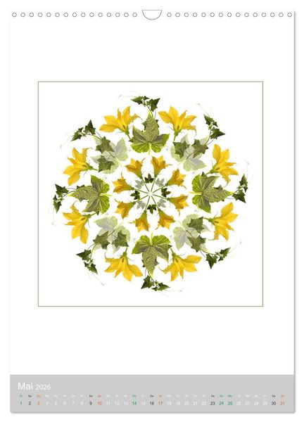 Produktbild: Pflanzen - Mandalas aus Bl&uuml;ten und Bl&auml;ttern (Wandkalender 2026 DIN A3 hoch), CALVENDO Monatskalender