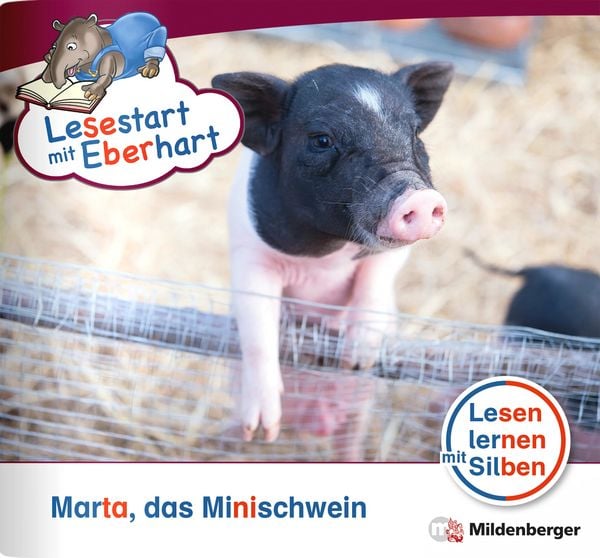 Produktbild: Lesestart mit Eberhart: Marta das Minischwein