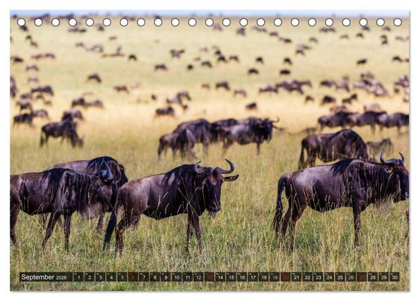 Produktbild: Kenia 2026 (Tischkalender 2026 DIN A5 quer), CALVENDO Monatskalender