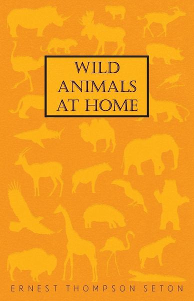 Produktbild: Wild Animals at Home