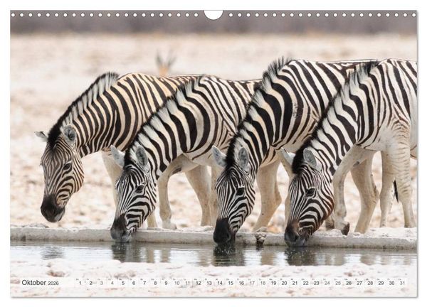 Produktbild: Afrikas Tierwelt Christian Heeb (Wandkalender 2026 DIN A3 quer), CALVENDO Monatskalender