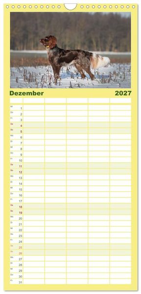 Produktbild: Familienplaner 2027 - Passion Jagdhund - Deutsch Langhaar mit 5 Spalten (Wandkalender, 21 x 45 cm) CALVENDO
