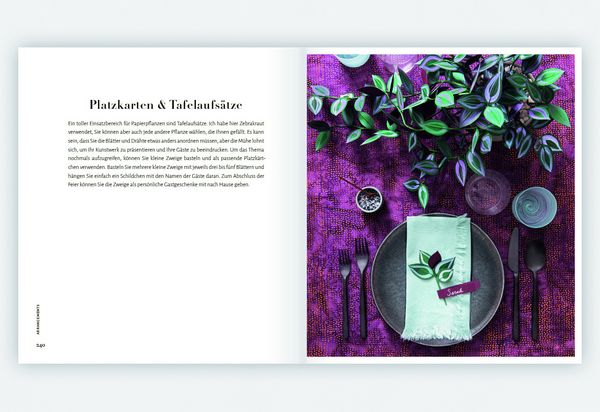 Produktbild: Zimmerpflanzen aus der Papierwerkstatt