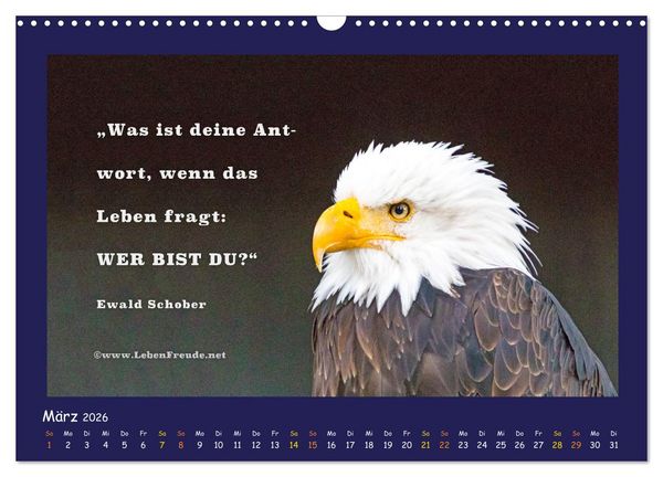Produktbild: Bewusst leben und gl&uuml;cklich sein (Wandkalender 2026 DIN A3 quer), CALVENDO Monatskalender