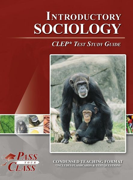 Produktbild: Introduction to Sociology CLEP Test Study Guide