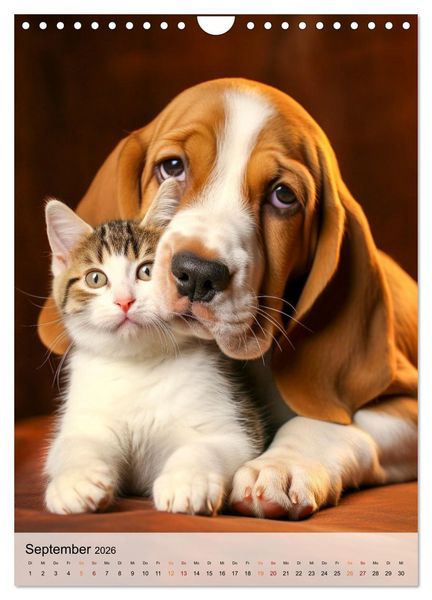 Produktbild: Basset Hound - freundlich und anh&auml;nglich (Wandkalender 2026 DIN A4 hoch), CALVENDO Monatskalender