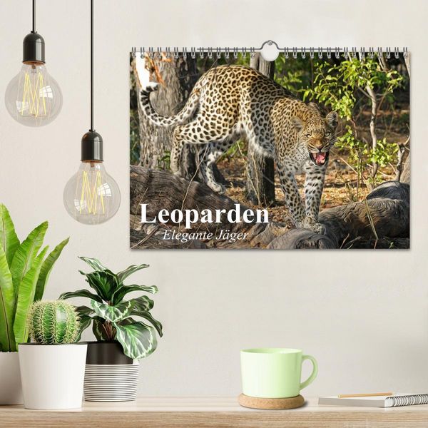 Produktbild: Leoparden. Elegante J&auml;ger (Wandkalender 2026 DIN A4 quer), CALVENDO Monatskalender