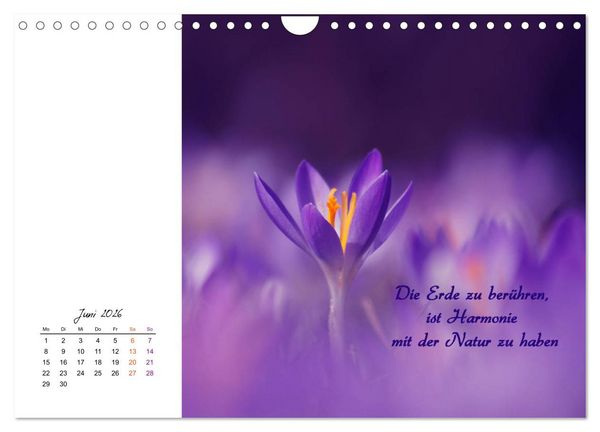 Produktbild: Innehalten in der Natur ... mit Weisheiten und Sprichworten der Indianer (Wandkalender 2026 DIN A4 quer), CALVENDO Monatskalender