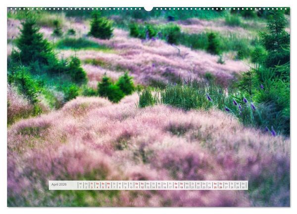 Produktbild: Traumhafte Waldstimmung am Rennsteig im Th&uuml;ringer Wald (hochwertiger Premium Wandkalender 2026 DIN A2 quer), Kunstdruck in Hochglanz