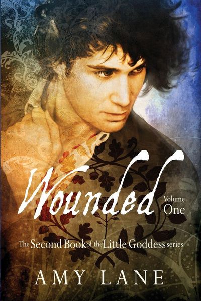 Produktbild: Wounded, Vol. 1