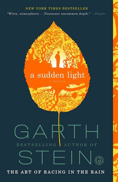 Produktbild: A Sudden Light