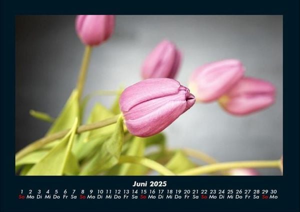 Produktbild: Blumenkalender 2025 Fotokalender DIN A4