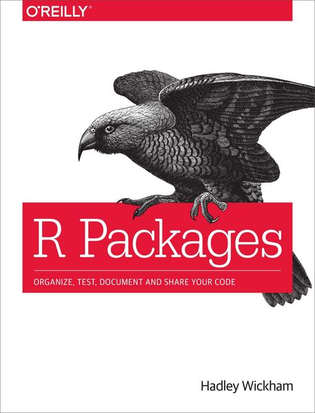 Produktbild: Wickham, H: R Packages