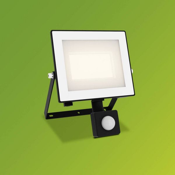 Produktbild: Philips LED Lois 929004642401 LED-Au&szlig;enstrahler mit Bewegungsmelder 30 W Leuchtfarben: Warmwei&szlig;