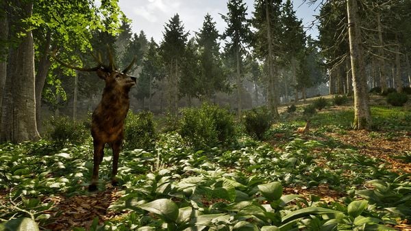 Produktbild: Park Ranger Simulator