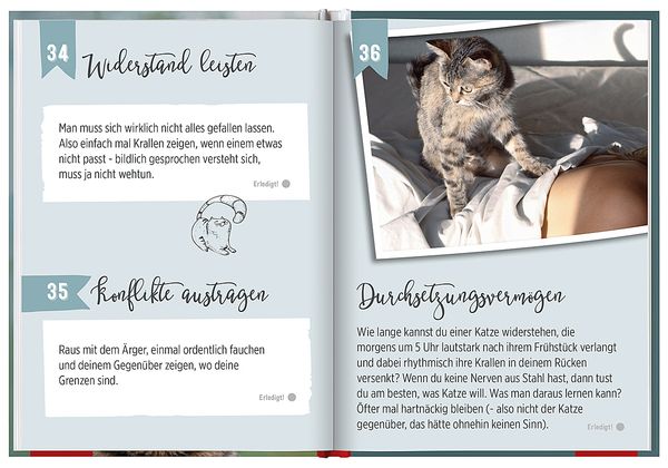 Produktbild: 100 Dinge, die man von einer Katze lernen kann