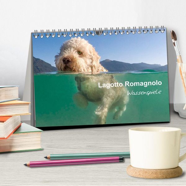 Produktbild: Lagotto Romagnolo - Wasserspiele (Tischkalender 2026 DIN A5 quer), CALVENDO Monatskalender