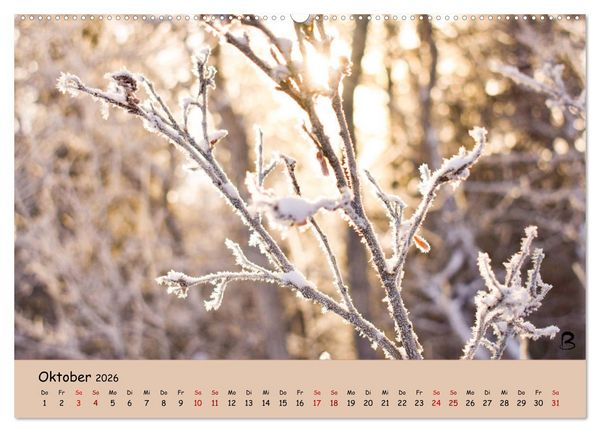 Produktbild: Entdecke den Yukon (Wandkalender 2026 DIN A2 quer), CALVENDO Monatskalender