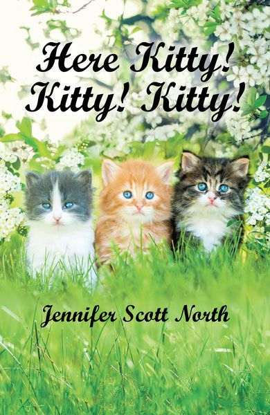 Produktbild: Here, Kitty! Kitty! Kitty!