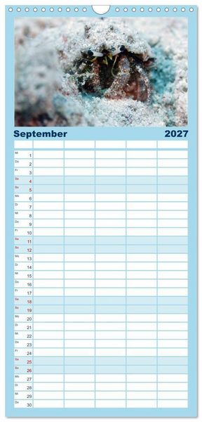 Produktbild: Familienplaner 2027 - Tauchen, Fische und Meer mit 5 Spalten (Wandkalender, 21 x 45 cm) CALVENDO