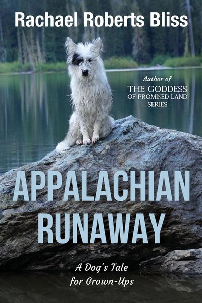 Produktbild: Appalachian Runaway A Dog's Tale for Grown-Ups