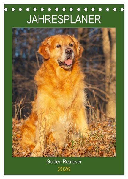 Produktbild: Jahresplaner Golden Retriever (Tischkalender 2026 DIN A5 hoch), CALVENDO Monatskalender