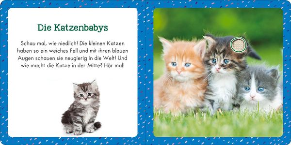 Produktbild: Soundbuch f&uuml;r Klitzekleine &ndash; Kleine Tiere