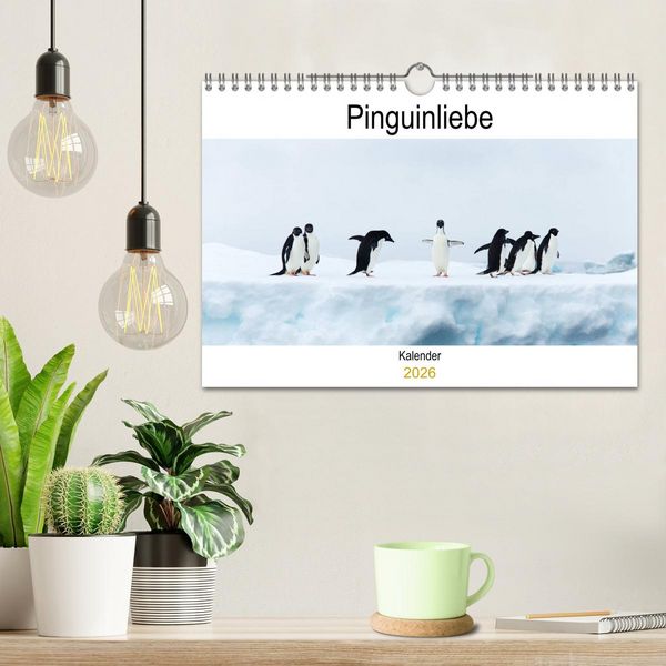 Produktbild: Pinguinliebe (Wandkalender 2026 DIN A4 quer), CALVENDO Monatskalender