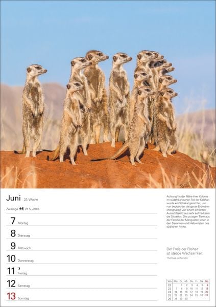 Produktbild: Natursch&auml;tze Afrikas Wochenplaner 2027 - Eine Reise in 53 Bildern