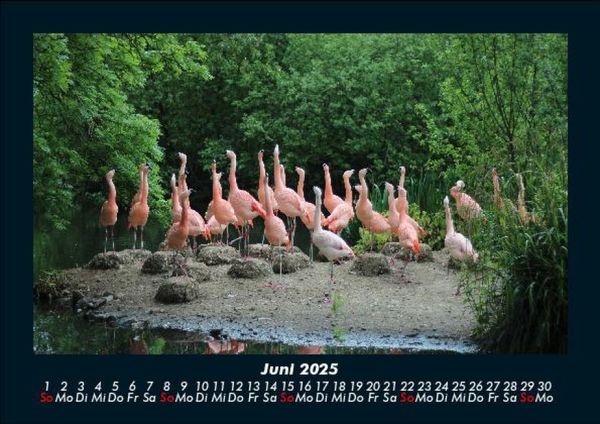 Produktbild: B&auml;ume 2025 Fotokalender DIN A5