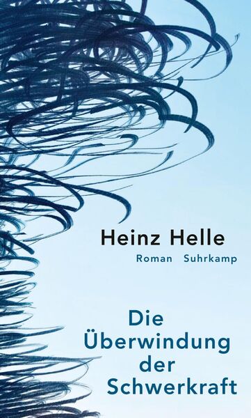 Produktbild: Die &Uuml;berwindung der Schwerkraft