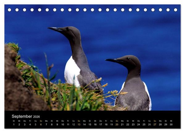 Produktbild: Wales Pembrokeshire - Natur im Fokus- (Tischkalender 2026 DIN A5 quer), CALVENDO Monatskalender